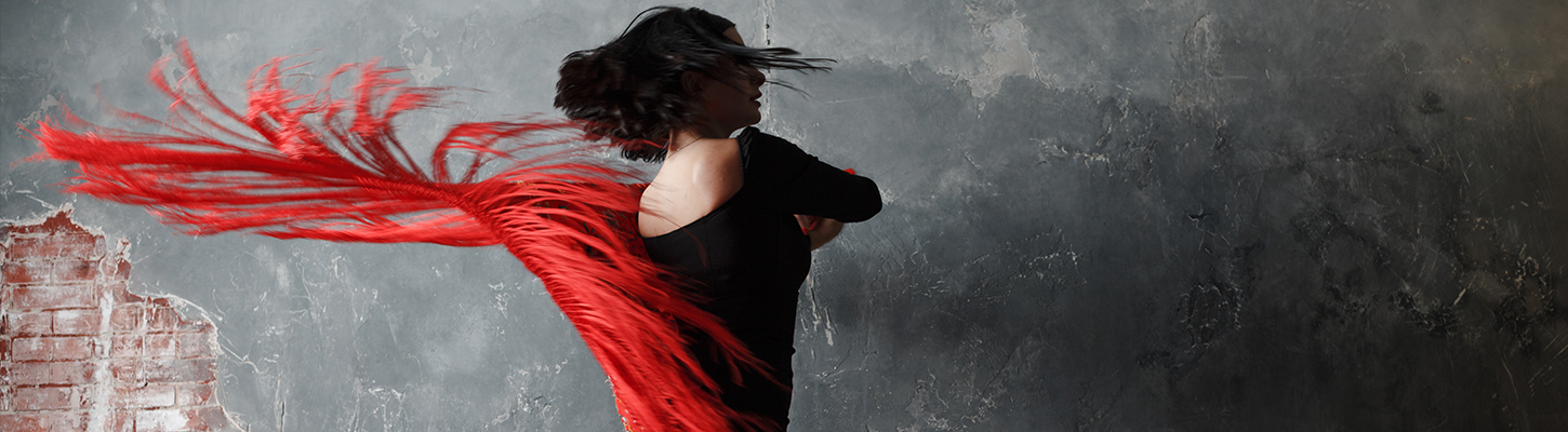 フラメンコレッスン料金